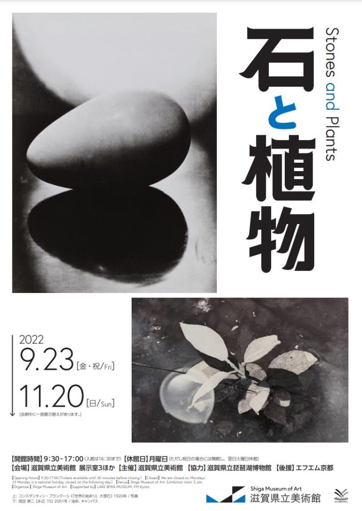 企画展「石と植物」滋賀県立美術館