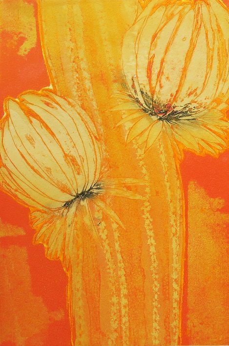 石田都紀  「サボテンの花」  29.4×19.7cm  一版多色刷り銅版画
