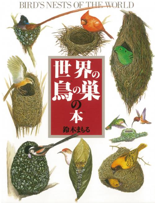 『世界の鳥の巣の本』鈴木まもる 著、岩崎書店　