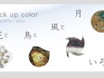 「Pick up color 花と鳥と風と月いろ展」Art Gallery 山手