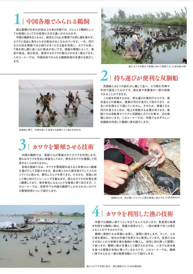 「現代中国を、カワウと生きる―鵜飼い漁師たちの技」国立民族学博物館