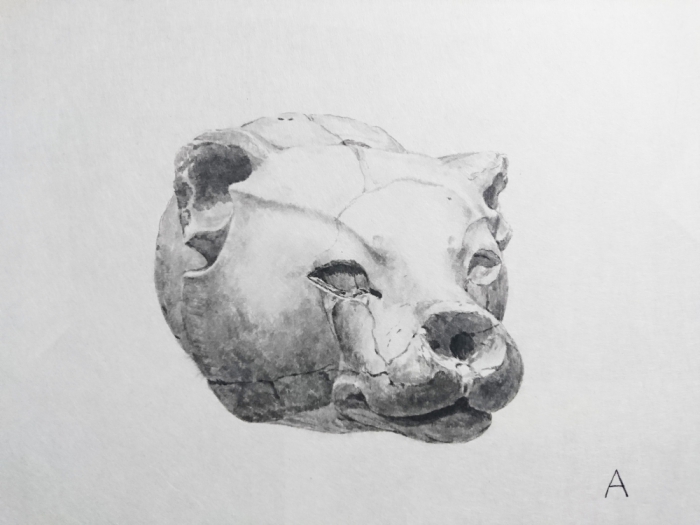 中島 敦志 「イラクリオンのライオン」22×17cm