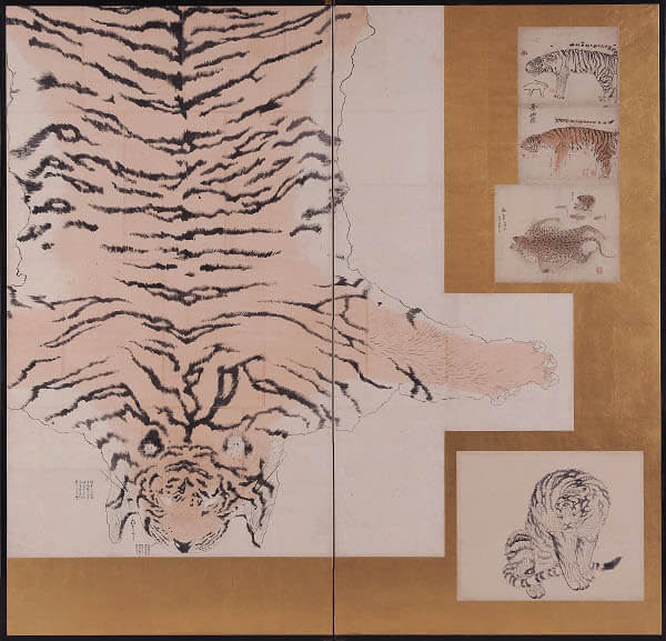 円山応挙《虎皮写生図》　江戸時代中期(18世紀)