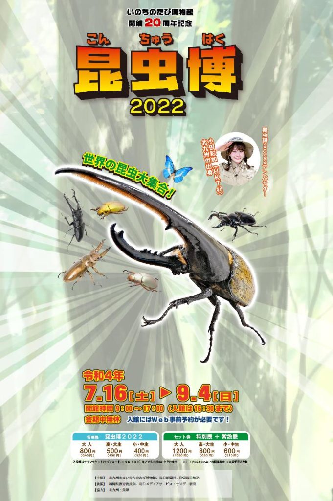 夏の特別展「昆虫博2022」北九州市立自然史・歴史博物館-いのちのたび博物館