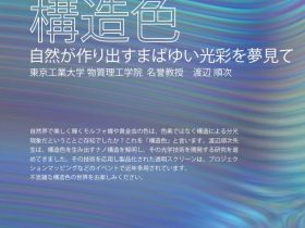 企画ミニ展示2022「構造色　自然が作り出すまばゆい光彩を夢見て」東京工業大学博物館・百年記念館
