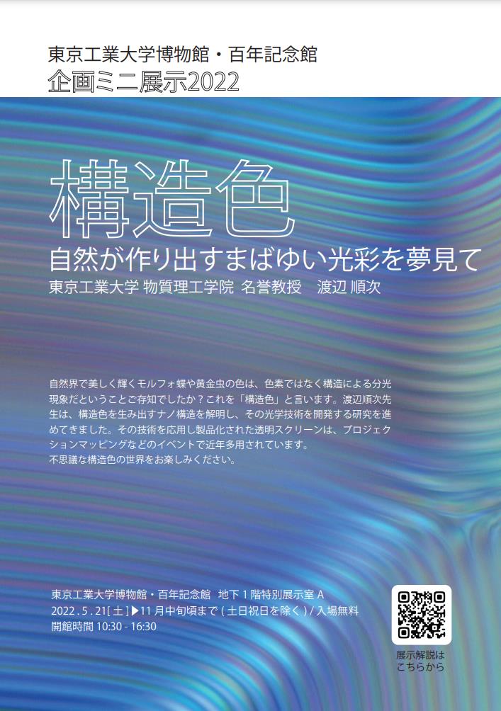 企画ミニ展示2022「構造色　自然が作り出すまばゆい光彩を夢見て」東京工業大学博物館・百年記念館