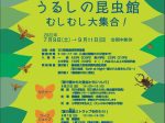 「うるしの昆虫館－むしむし大集合！－」石川県輪島漆芸美術館