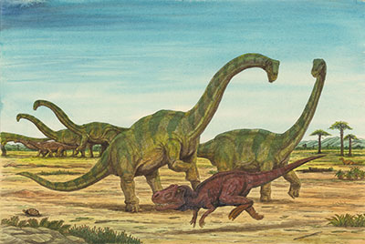[大きな体でアロサウルスから群れを守るディプロドクス」　©ヒサクニヒコ