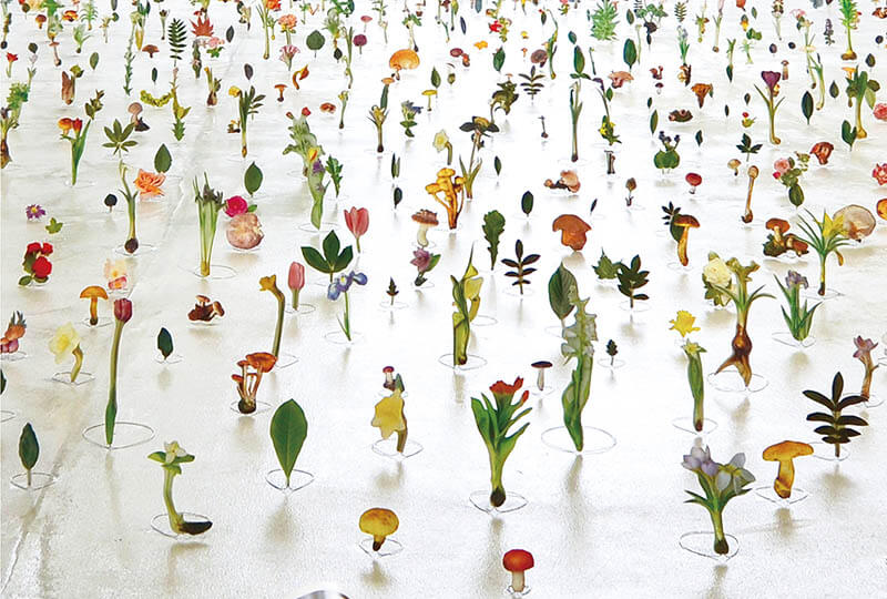 渡辺英司《名称の庭》箱根彫刻の森美術館インスタレーション　2014年