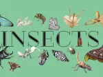 「INSECTS」ギャラリー アートもりもと
