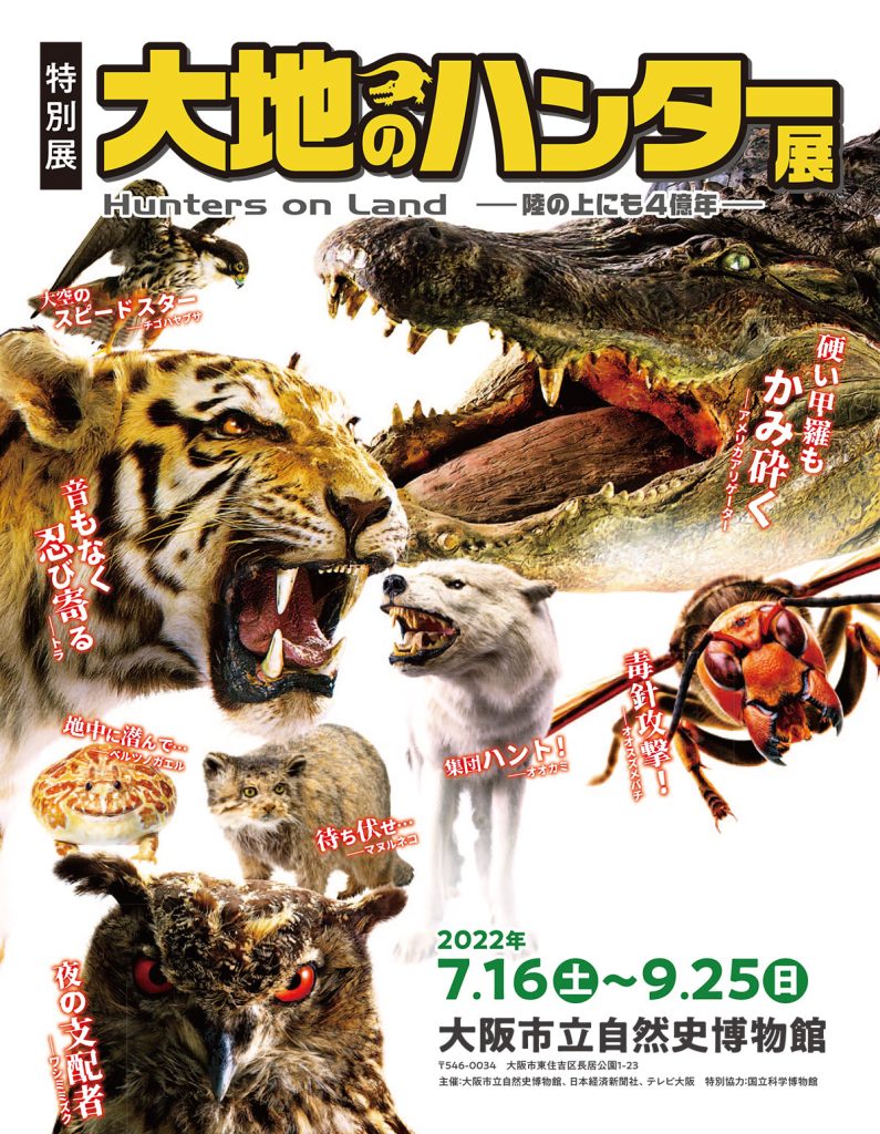 特別展「大地のハンター展 ～陸の上にも4億年～」大阪市立自然史博物館