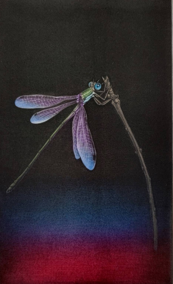「蜻蛉」カラーメゾチント　21×13cm   