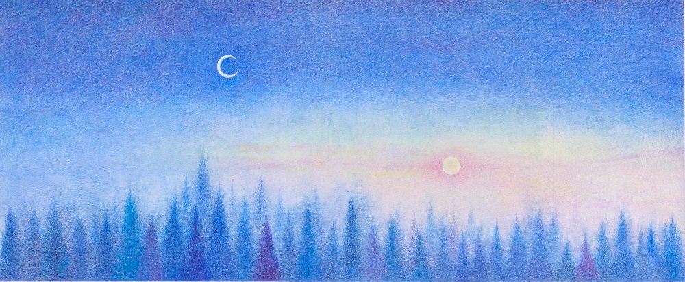「月夜の森」（『月夜の森の梟』朝日新聞出版 表紙） アクリル、色鉛筆、和紙 19.5 × 47 cm