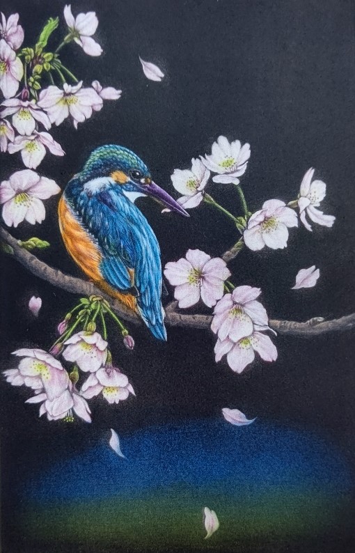 「桜に翡翠」カラーメゾチント　25×16cm