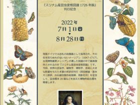 「女流博物画家 メーリアンの世界」軽井沢高原文庫