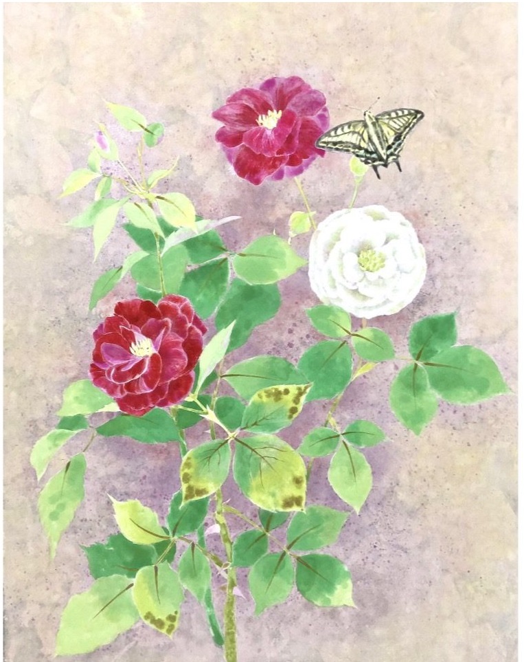 『薔薇と蝶』10P