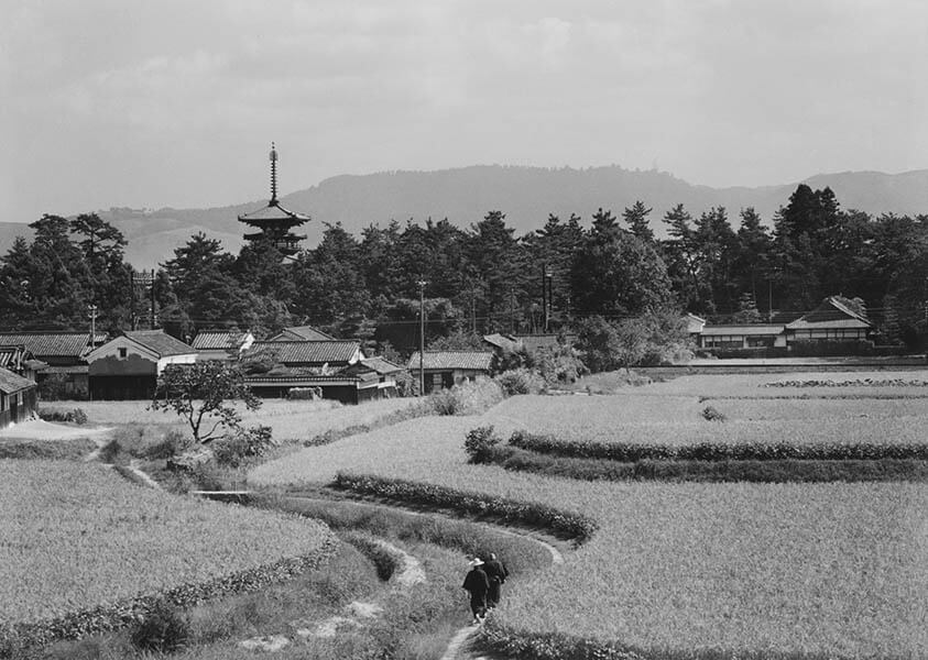 薬師寺東塔遠望　1950年代後半
