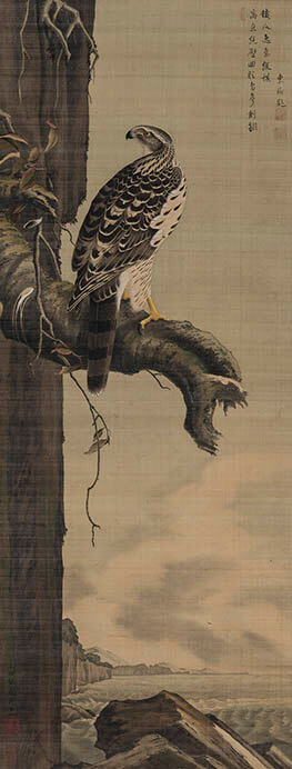 小田野直武《鷹図》江戸時代18世紀　個人蔵　※後期展示