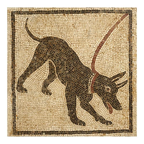 猛犬注意 1世紀 ポンペイ出土 ナポリ国立考古学博物館