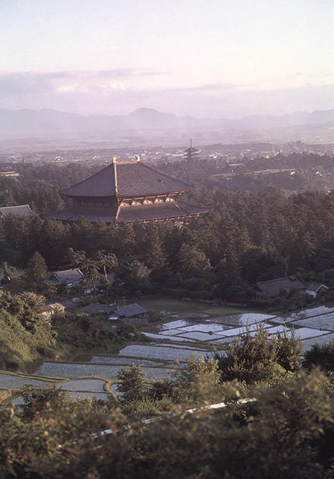 大仏殿を望む　1960年頃