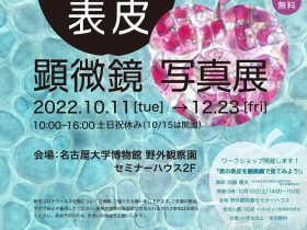 野外観察園サテライト展示「実の表皮顕微鏡写真展」名古屋大学博物館