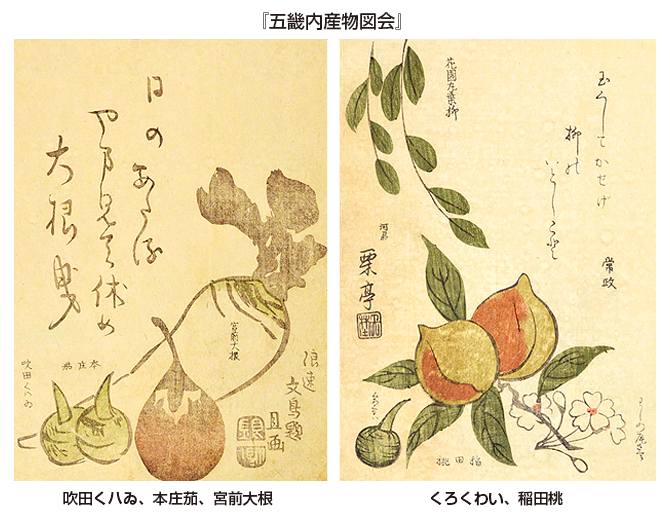 『五畿内産物図会』 文化10年（1813） 大阪歴史博物館蔵