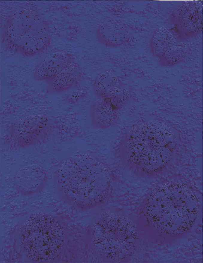 イヴ・クライン《海綿レリーフ(青)RE-42》 制作年不詳 海綿、小石、顔料、合成樹脂/板 93.5 × 73.5 cm 滋賀県立美術館蔵
