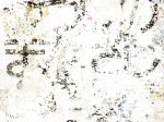 京都市立芸術大学芸術資料館収蔵品活用展「うつしのまなざし」京都市立芸術大学ギャラリー@KCUA（アクア）