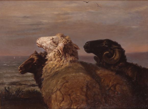 ジャック＝レイモン・ブラカサ《海辺の羊》19世紀中頃　当館蔵（帯広市寄託）