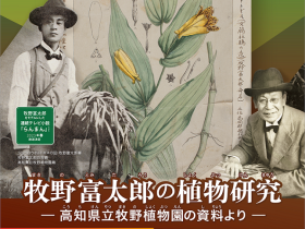 牧野富太郎生誕160年記念特別展「牧野富太郎の植物研究―高知県立牧野植物園の資料より―」牧野記念庭園記念館