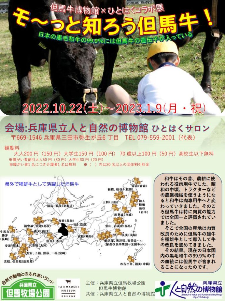 但馬牛博物館×ひとはくコラボ展「モ～っと知ろう但馬牛！日本の黒毛和牛の99.9％には但馬牛の遺伝子が入っている」兵庫県立人と自然の博物館