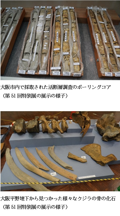 特別展 「大阪アンダーグラウンドＲＥＴＵＲＮＳ －掘ってわかった大地のひみつ－」 大阪市立自然史博物館