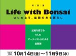 特別展「Life with Bonsai～はじめよう、盆栽のある暮らし」さいたま市大宮盆栽美術館
