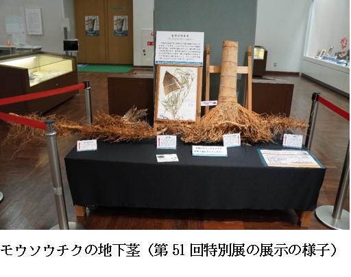 特別展 「大阪アンダーグラウンドＲＥＴＵＲＮＳ －掘ってわかった大地のひみつ－」 大阪市立自然史博物館