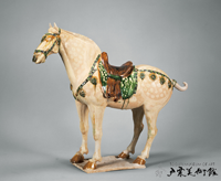 三彩 馬
唐時代（8世紀）
長76.3cm
唐三彩では馬の作例は少なくありませんが、その中でも白を基調とした本作は格調高い美しさを湛えています。