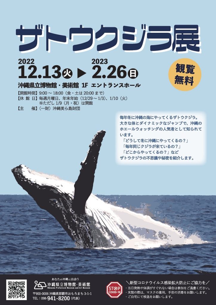 「ザトウクジラの生態を紹介！」沖縄県立博物館・美術館（おきみゅー）