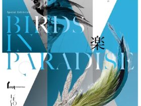 インターメディアテク開館十周年記念特別展示「極楽鳥」JPタワー学術文化総合ミュージアム