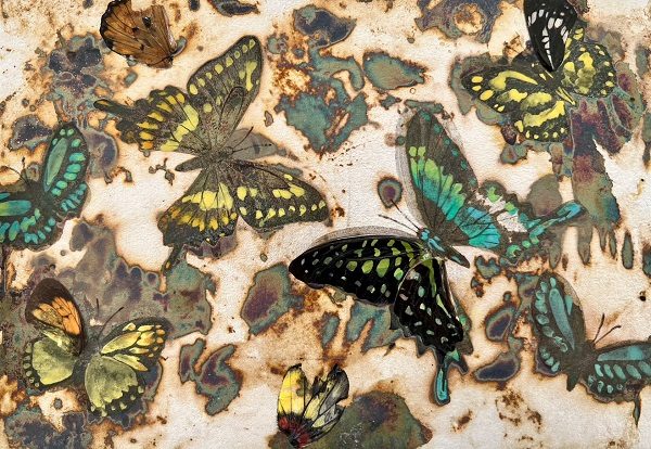 「Butterfly Effect Vol.4」

SM

15.8×22.7cm

紙本彩色、銀箔、岩絵具,

蝶の羽

2022年