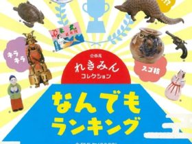 「れきみんコレクション なんでもランキング」高知県立歴史民俗資料館