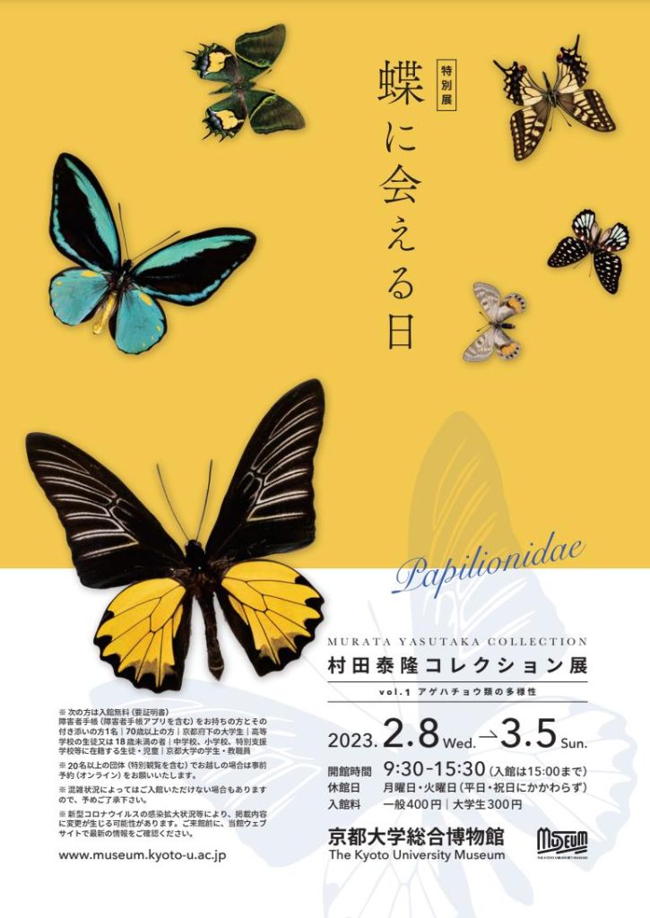 「蝶に会える日 村田泰隆コレクション展 Vol.1 アゲハチョウの多様性」京都大学総合博物館