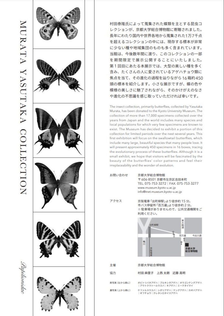 「蝶に会える日 村田泰隆コレクション展 Vol.1 アゲハチョウの多様性」京都大学総合博物館
