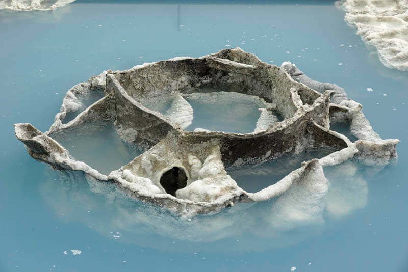 Foulbrood (detail)
2015 | Pond, water, sodium polyacrylate | Variable size
Photo: Aurélien Mole