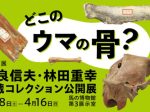 テーマ展「どこのウマの骨？直良信夫・林田重幸旧蔵コレクション公開展」馬の博物館