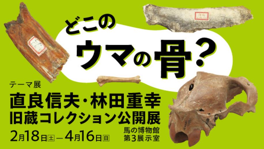 テーマ展「どこのウマの骨？直良信夫・林田重幸旧蔵コレクション公開展」馬の博物館