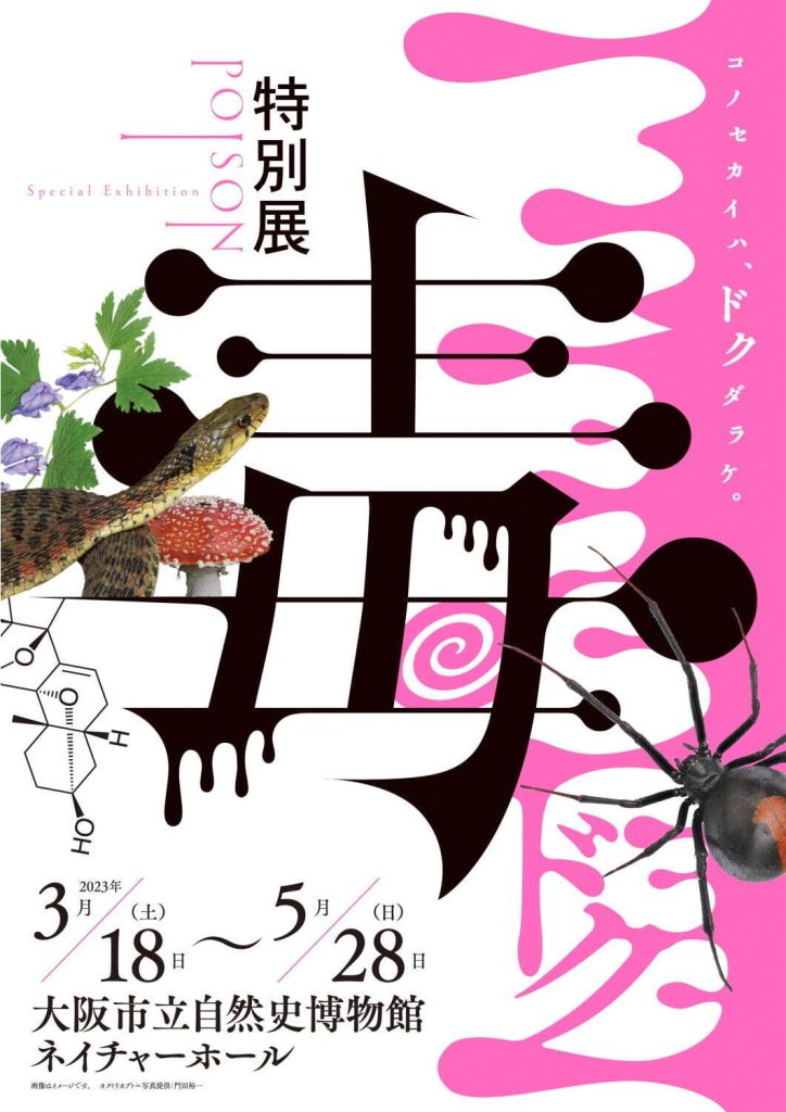 特別展「毒」大阪市立自然史博物館