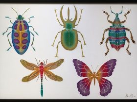 「大きい昆虫標本」 89.4×130.3cm ミクストメディア 2021年