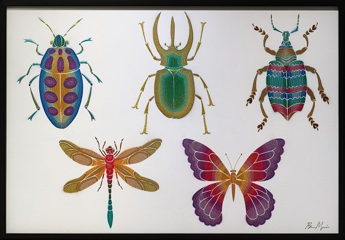 「大きい昆虫標本」 89.4×130.3cm ミクストメディア 2021年