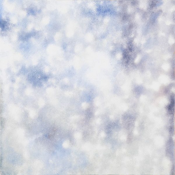 「結晶する風景－雨あがり」 油彩、キャンバス　 S8号