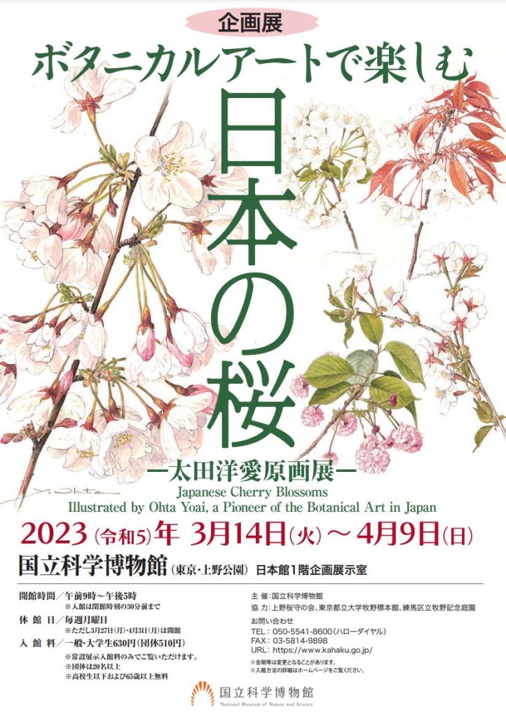 「ボタニカルアートで楽しむ日本の桜 - 太田洋愛原画展 - 」国立科学博物館