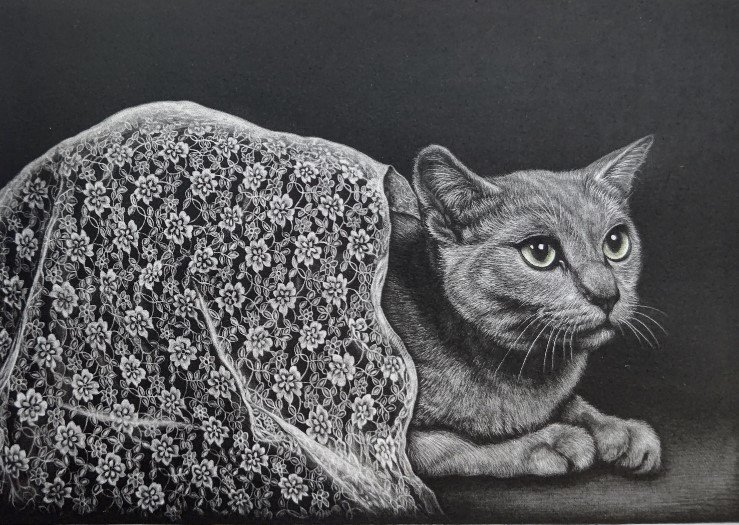 「レースを纏う猫」　
（銅版画[メゾチント]、16.5×25.0cm）